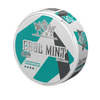 ARQA STRONG EDITION Cold Mint (150 мг) (Слим) ● Холодная мята